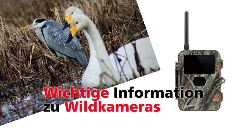 Wichtige Info zu Wildkameras Wichtige Info zu Wildkameras