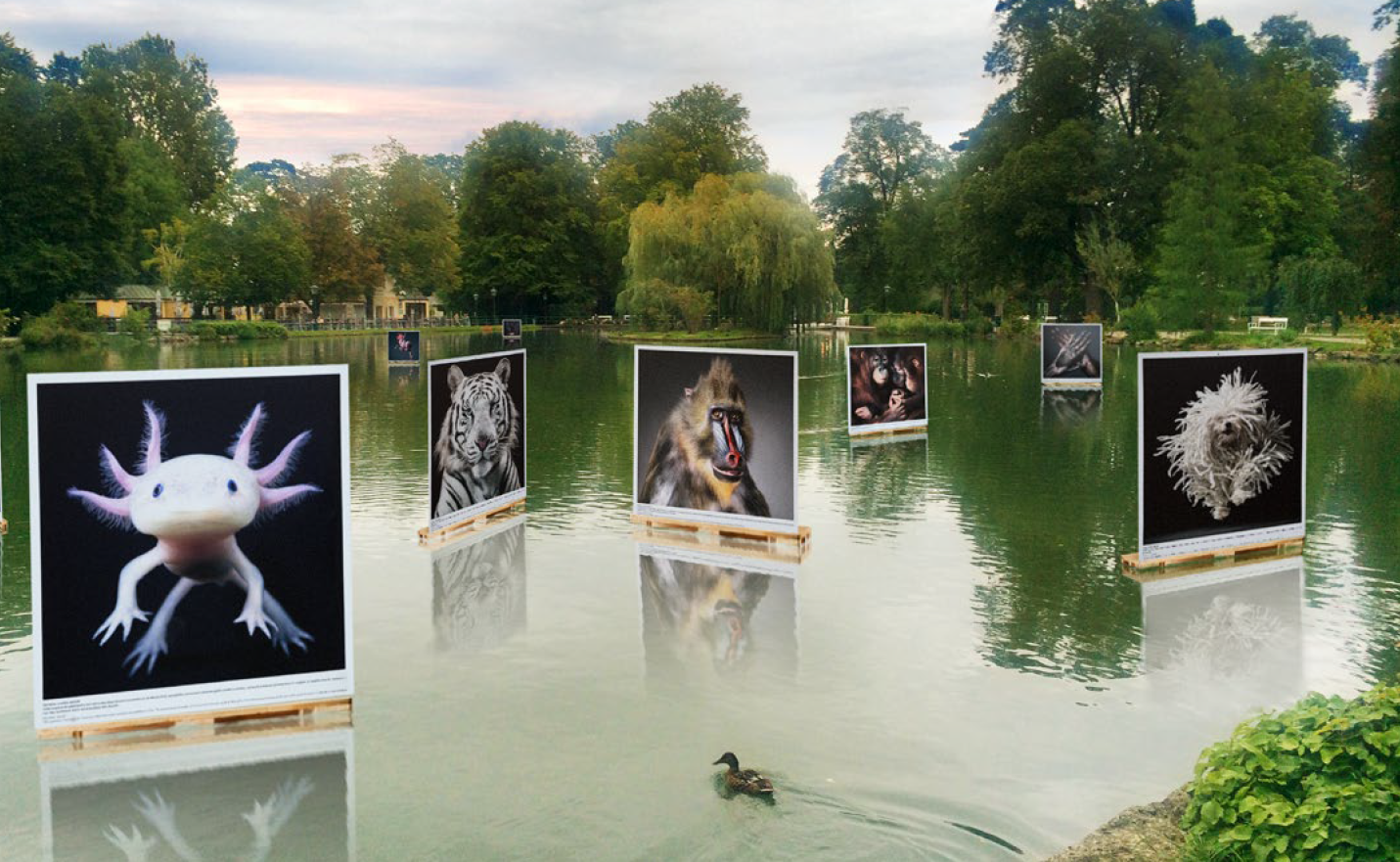Photo Festival LA GACILLY Photo Festival LA GACILLY